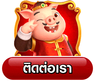 ติดต่อเรา